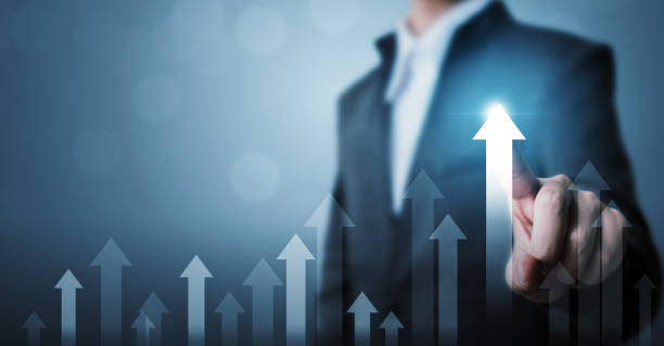 全面解析：如何查询BVI公司登记信息 