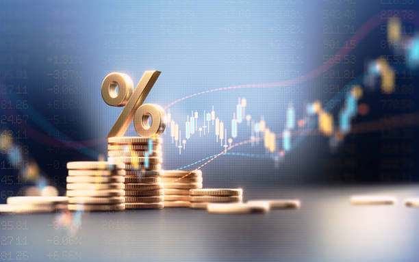 BVI公司注册信息查询