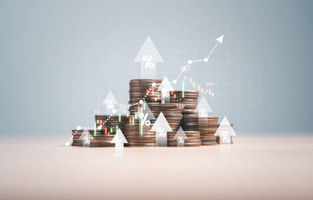 bvi公司可以查册内容