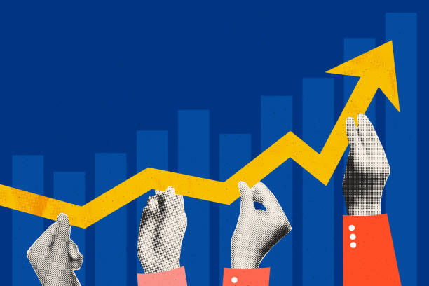 BVI公司审计需求分析：是否需要审计的全面解读