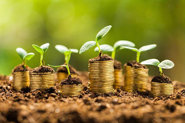 红筹架构中BVI公司股东数量的深入解析 